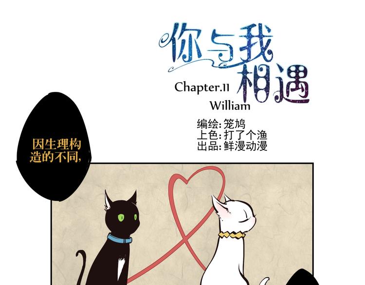 第11话 William0