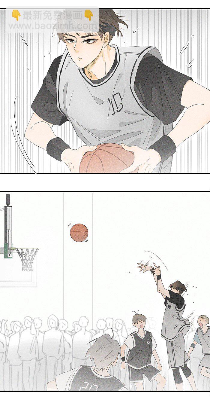 36 篮球赛17