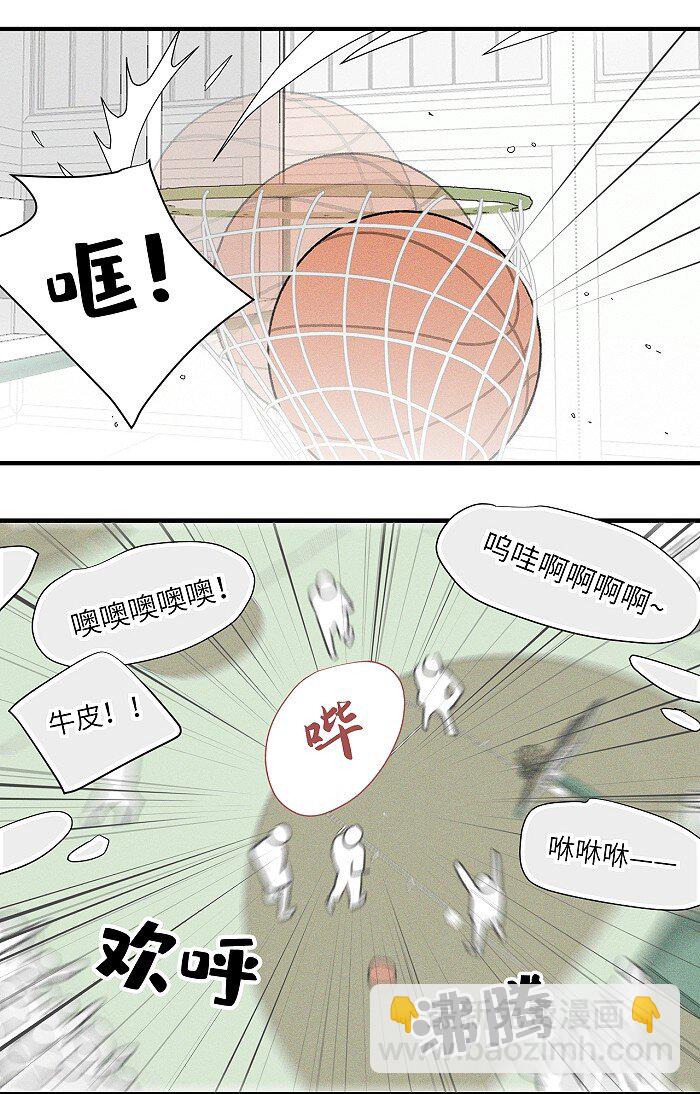 36 篮球赛18