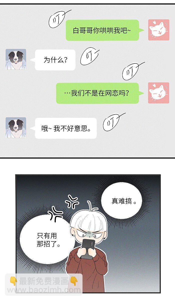 36 篮球赛5
