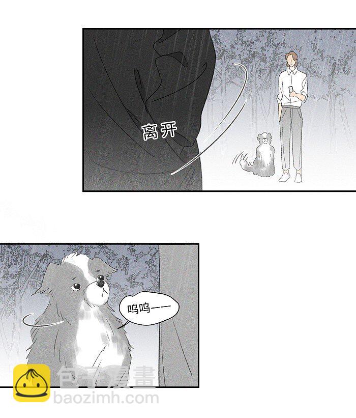 41 家里白菜被拱了！11