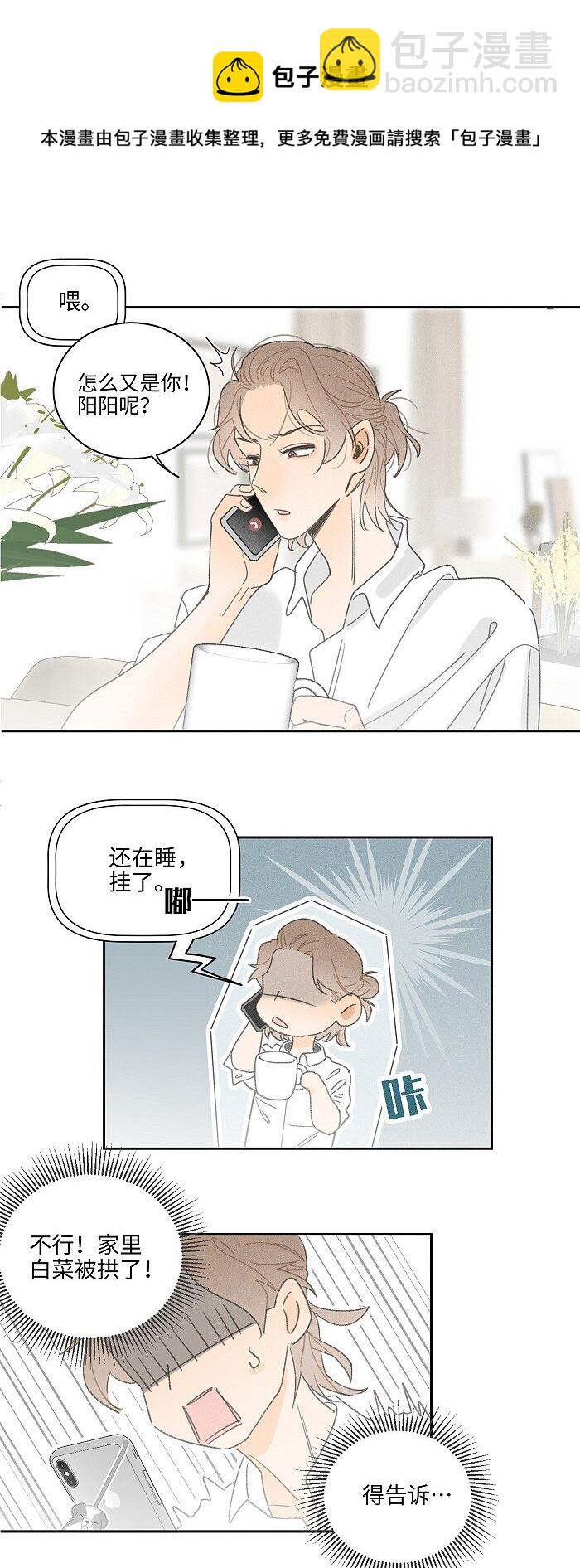 41 家里白菜被拱了！36