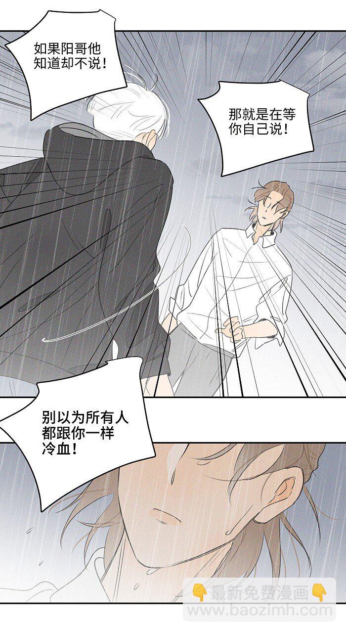 41 家里白菜被拱了！6