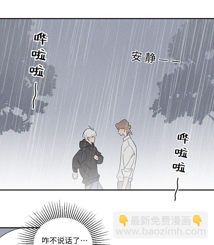41 家里白菜被拱了！7
