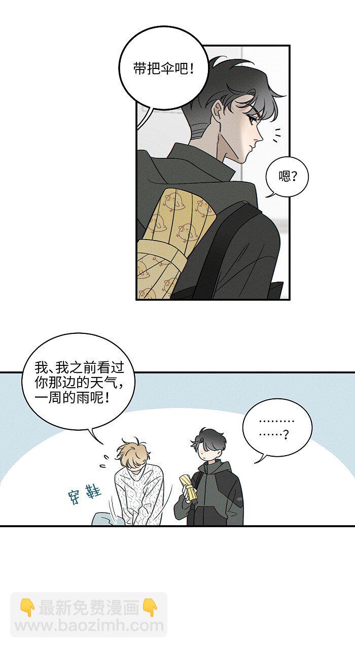 68 为什么没下雨还有人打伞18