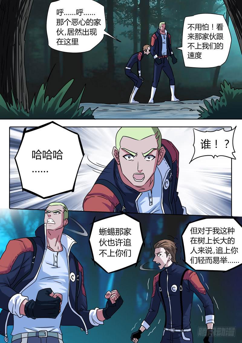 中级杀手蜥蜴和猿猴10