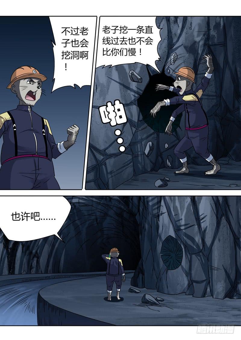 强化种子4