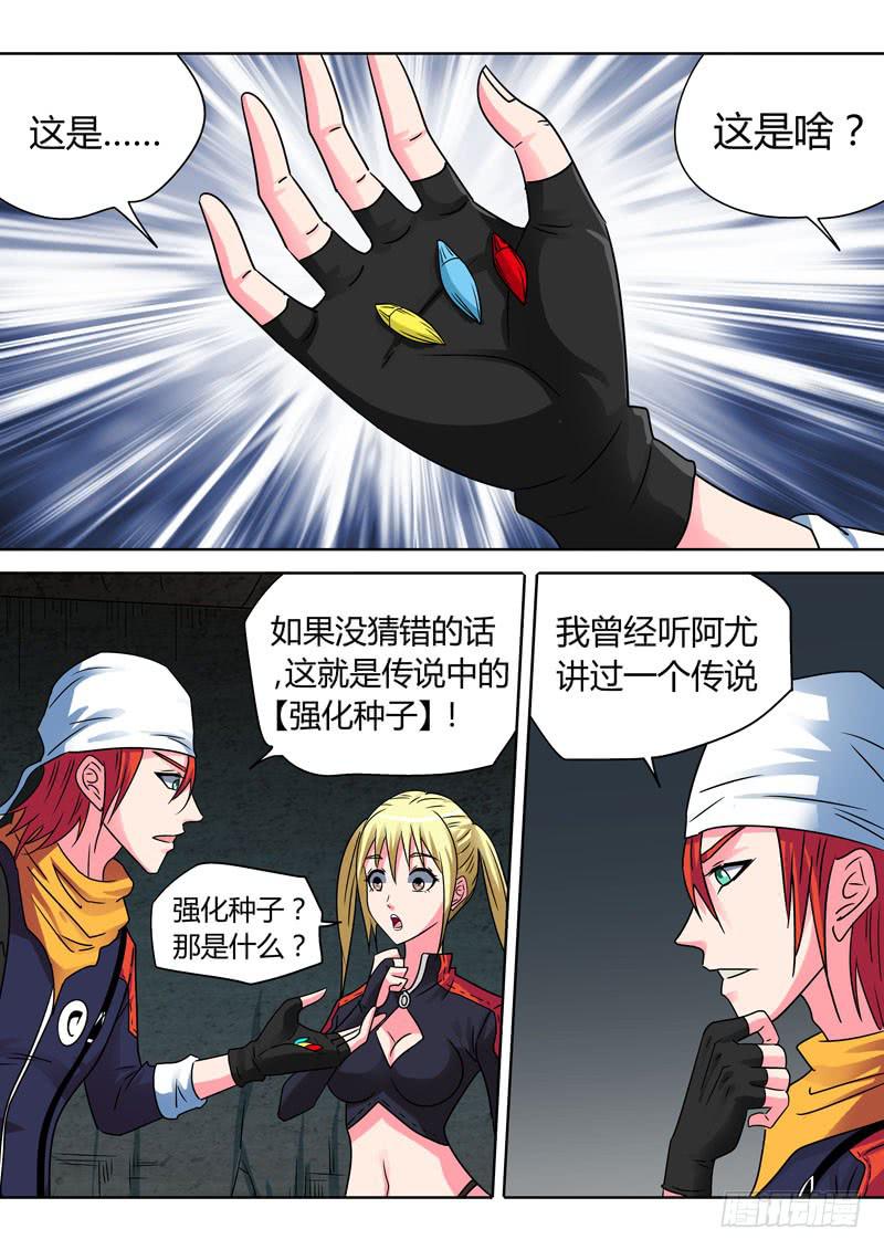 强化种子5