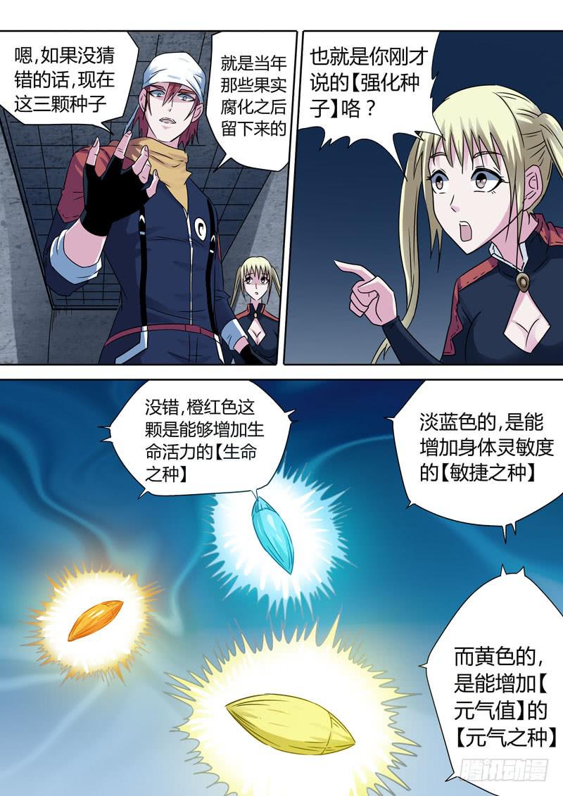 强化种子8