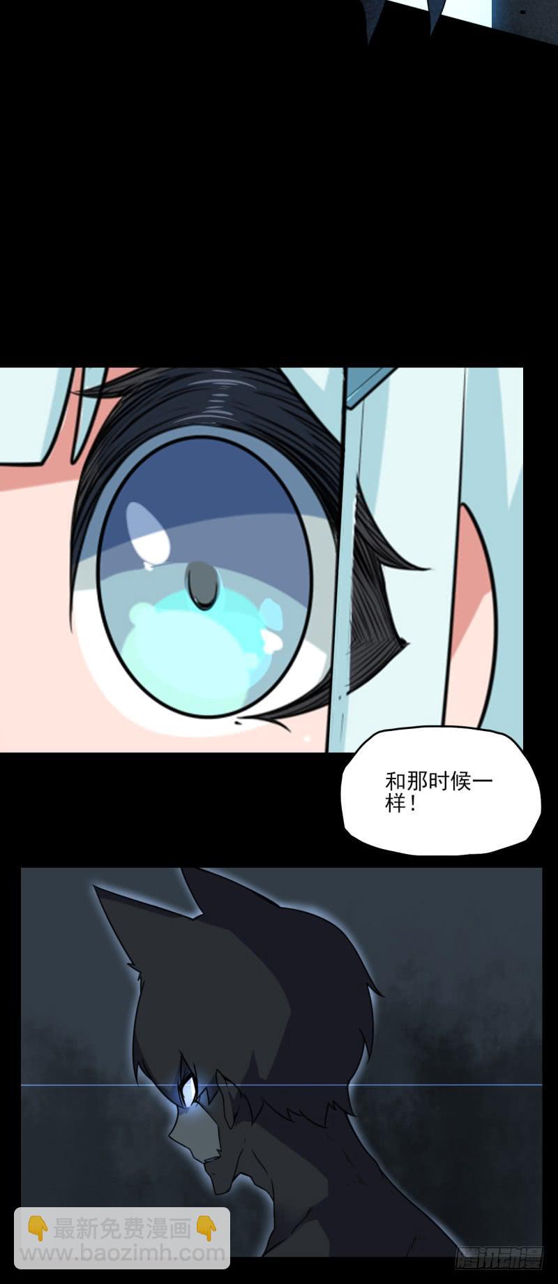 失去意识！黑猫电视！13