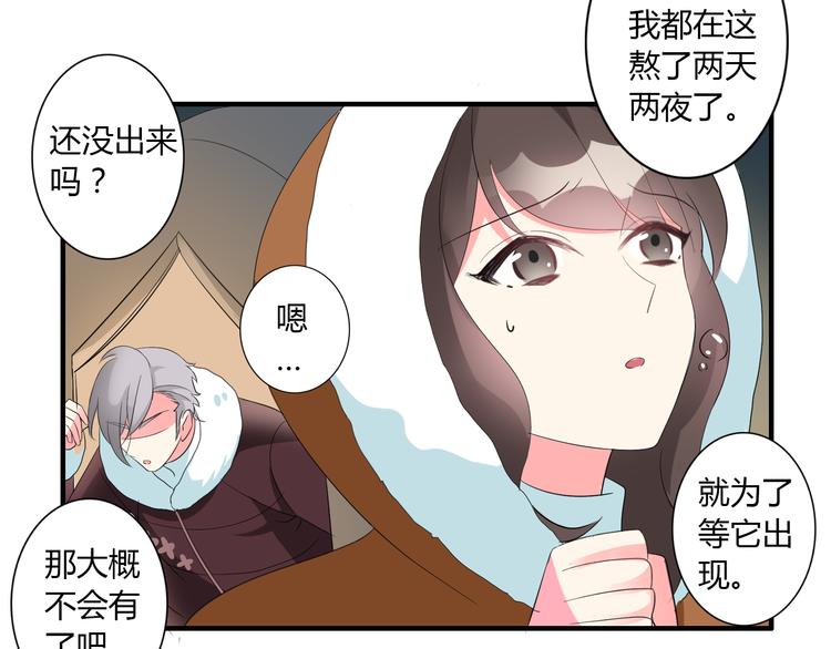 圣诞特别篇40