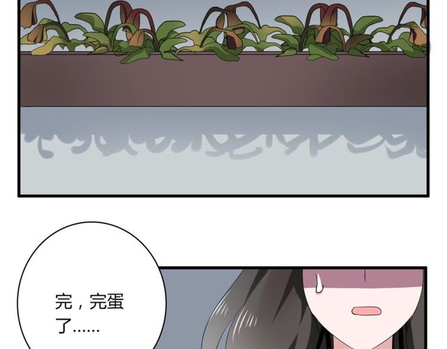 第42话 被leo先生认可了！49