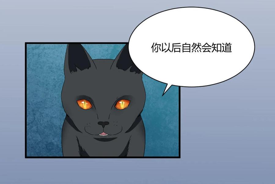 第87话 猫妖17