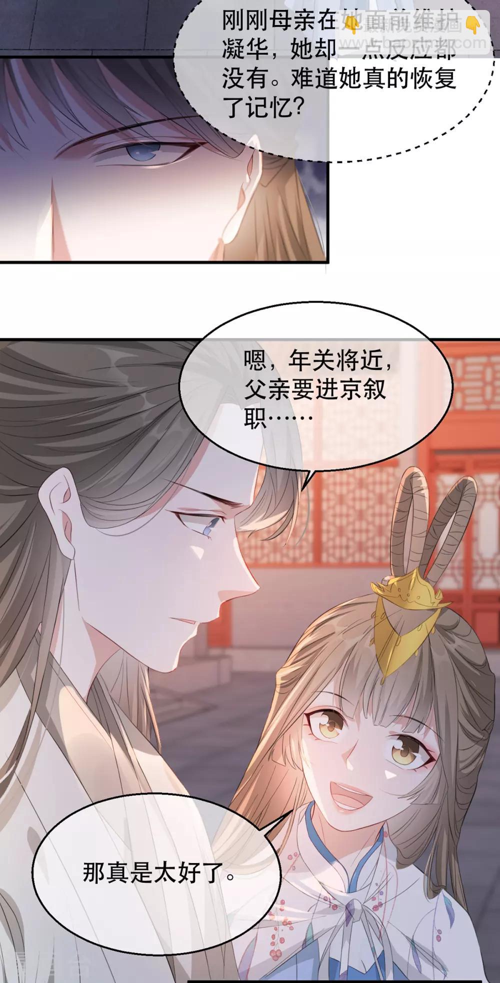 第66话 荣王妃的“慈母心”19