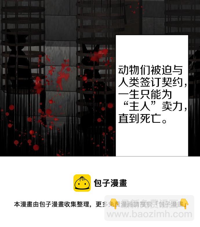 第20话 主人？！10