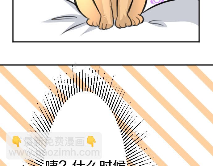 第84话 这次一定63