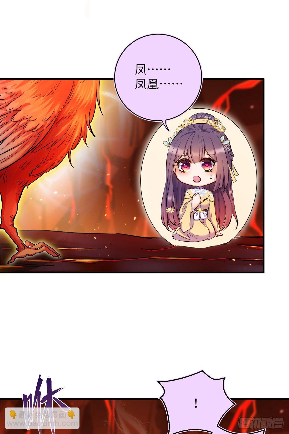 23 凤凰和龙14