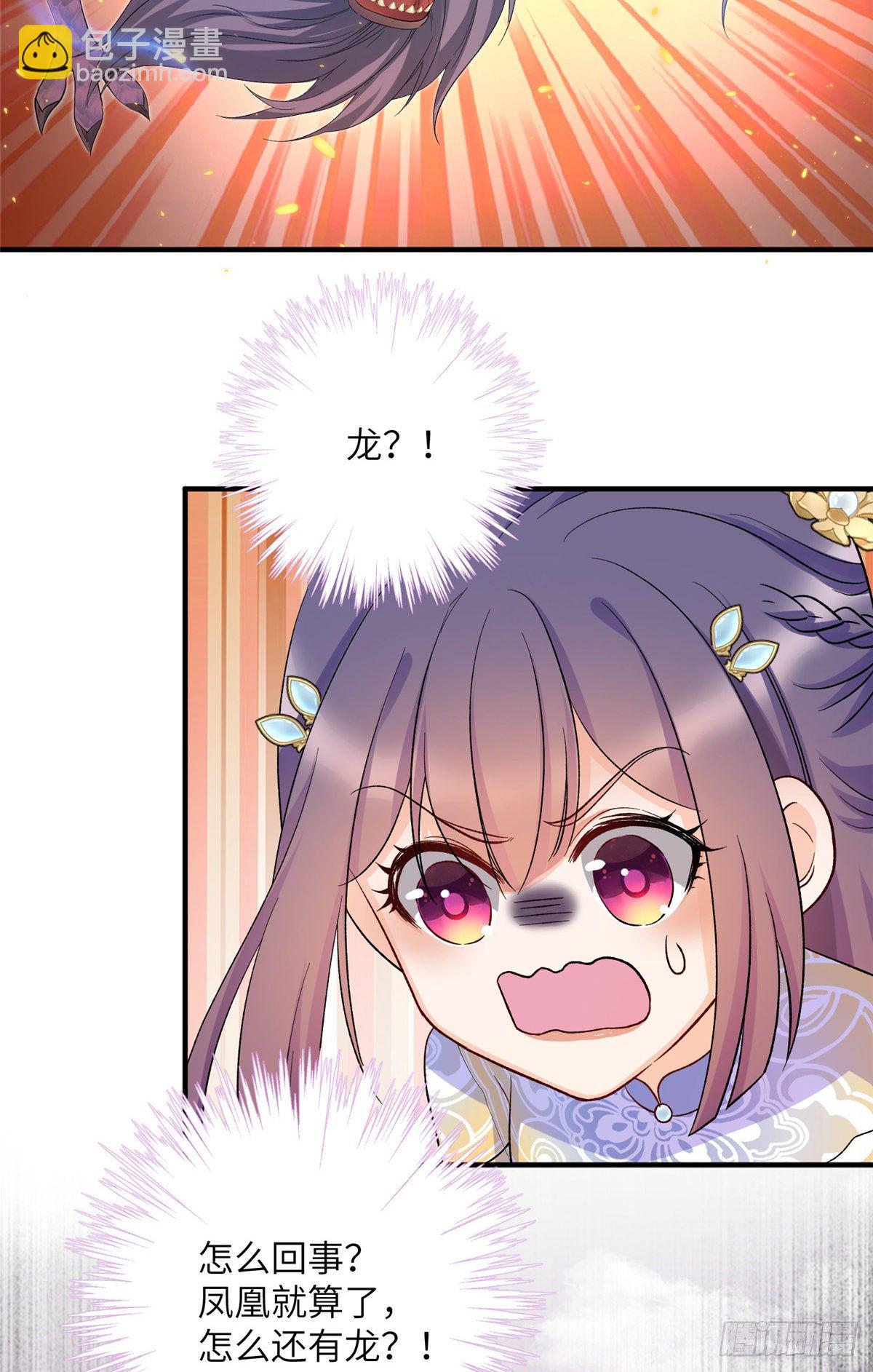 23 凤凰和龙21