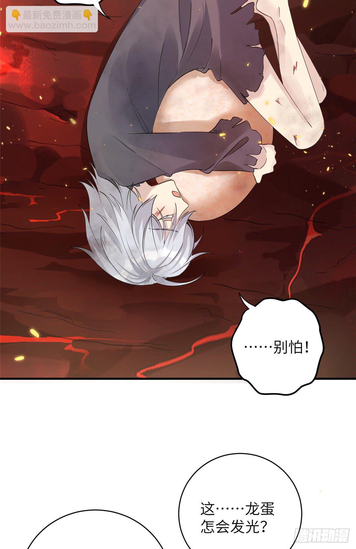 23 凤凰和龙38