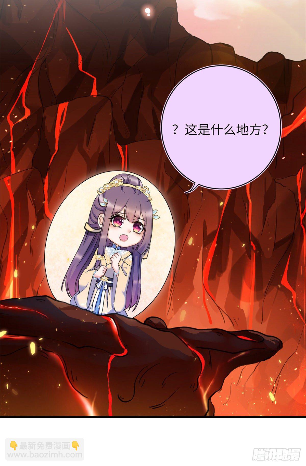 23 凤凰和龙8