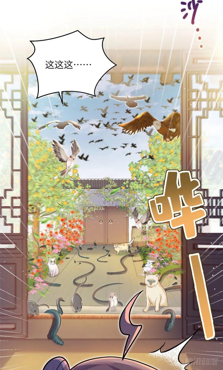 67 世界好感度44