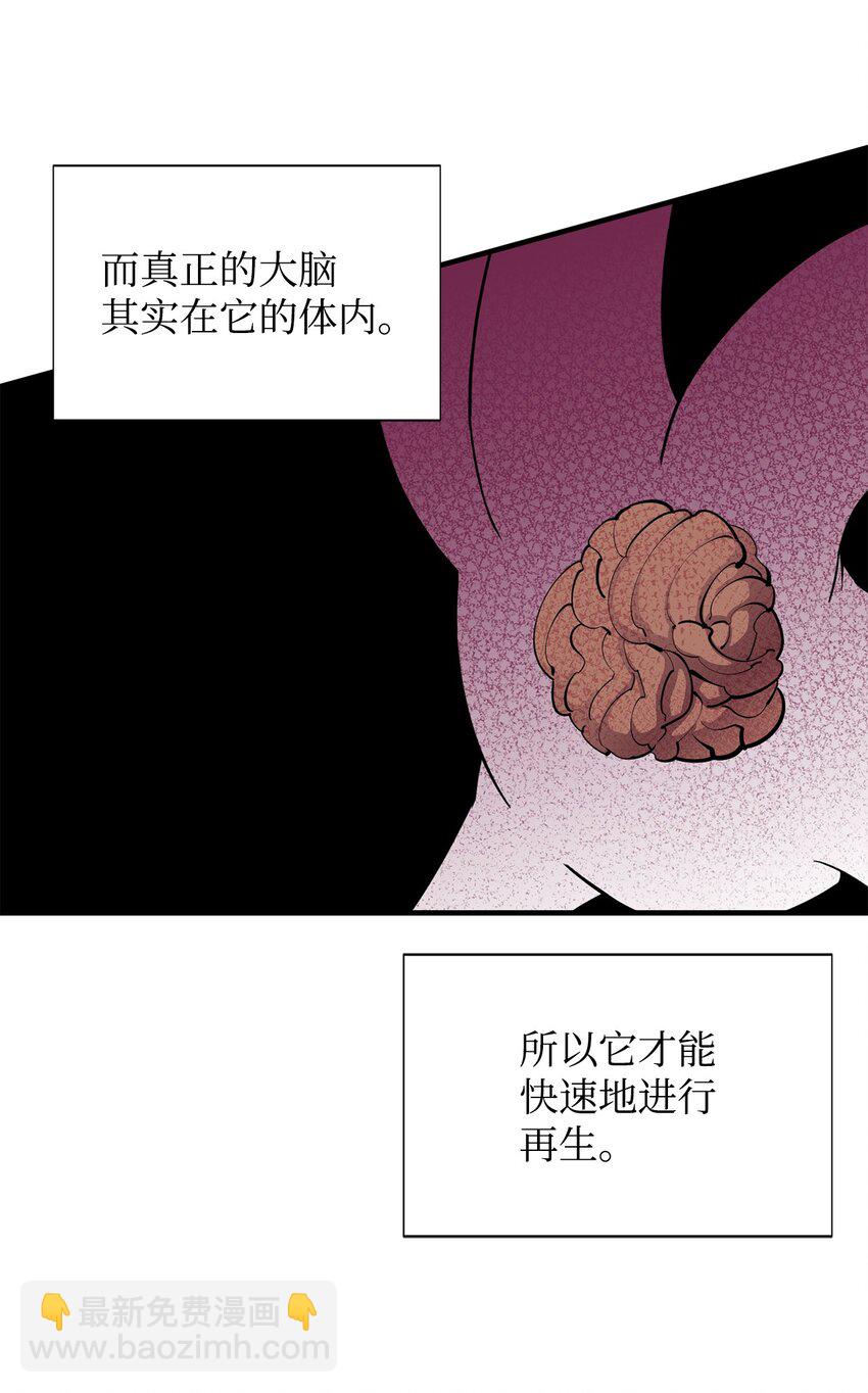 57 蝎尾狮13