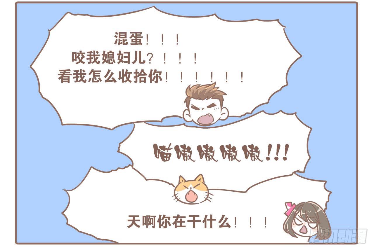 领养了一只猫，叫督尼1