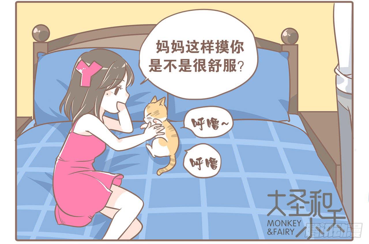领养了一只猫，叫督尼10