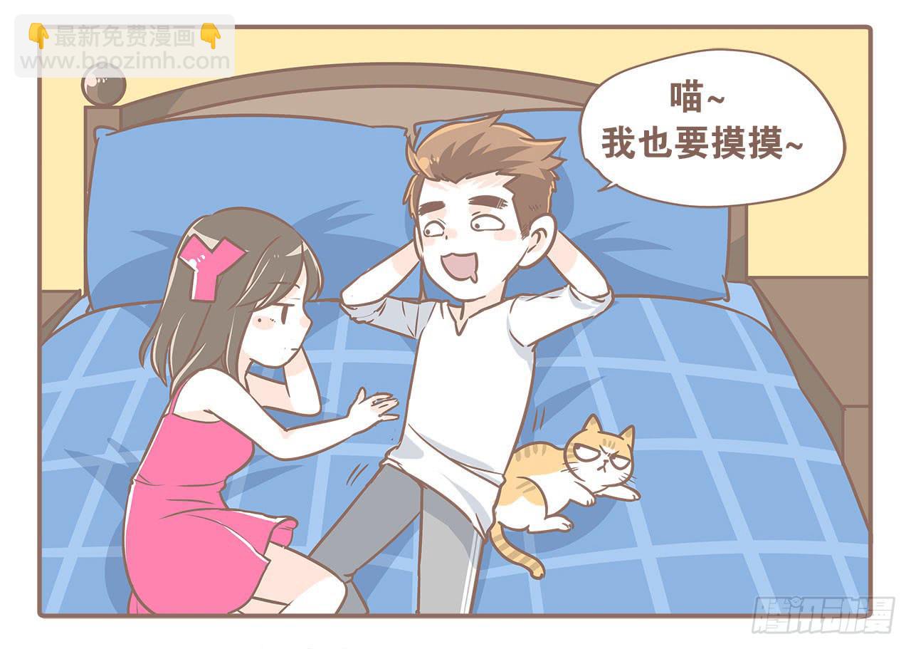 领养了一只猫，叫督尼11