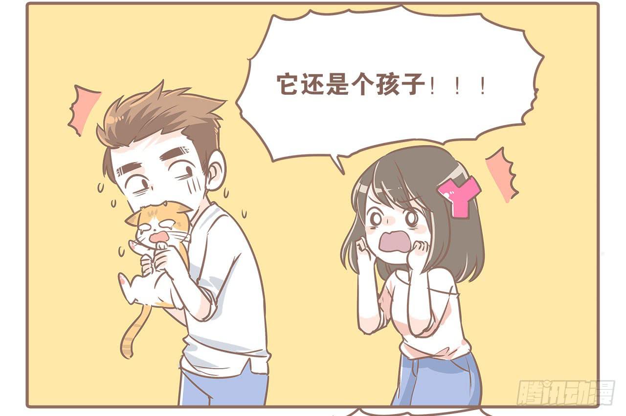 领养了一只猫，叫督尼2