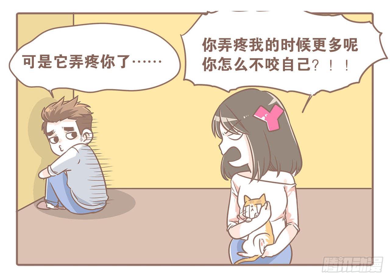 领养了一只猫，叫督尼3