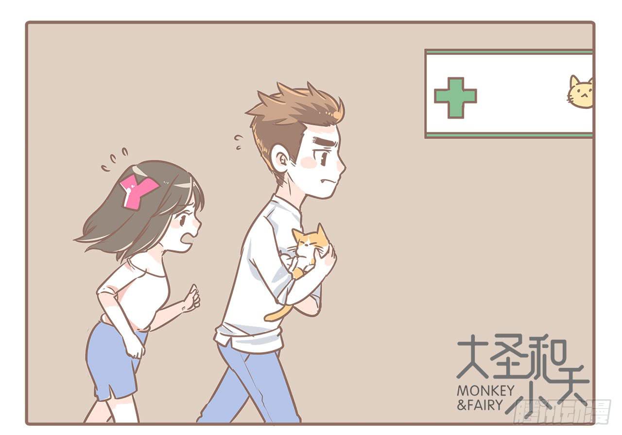 领养了一只猫，叫督尼4