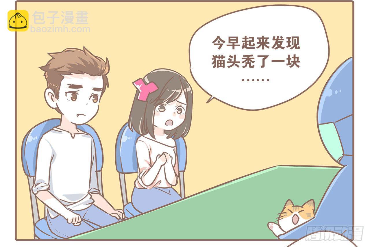 领养了一只猫，叫督尼5