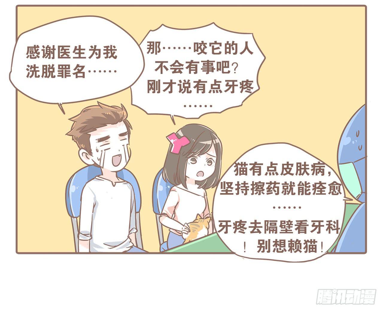 领养了一只猫，叫督尼7