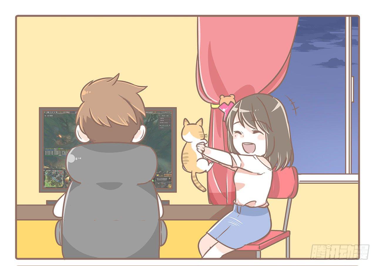 领养了一只猫，叫督尼8
