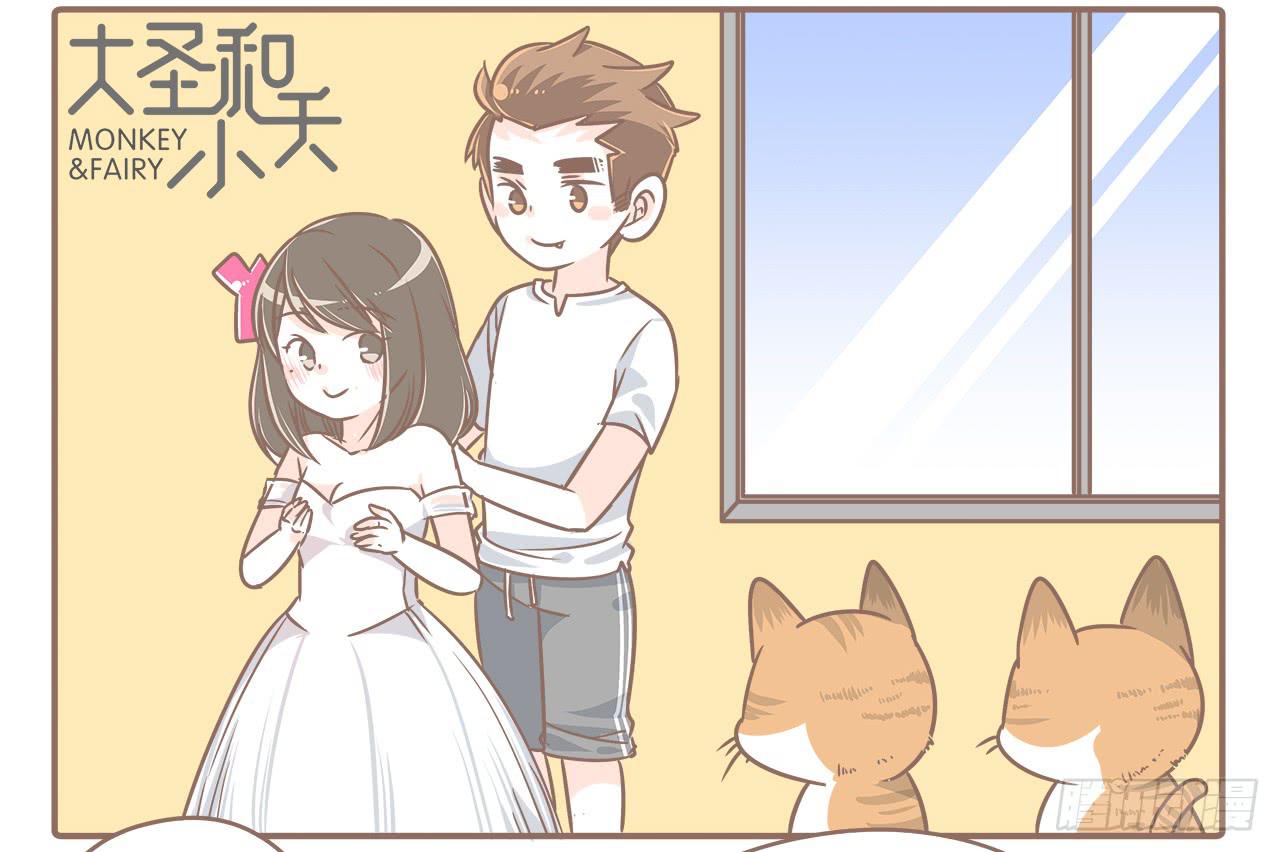 此处不能有猫1