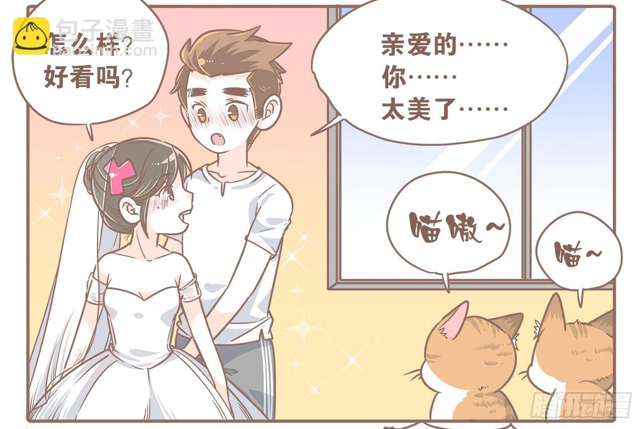 此处不能有猫2