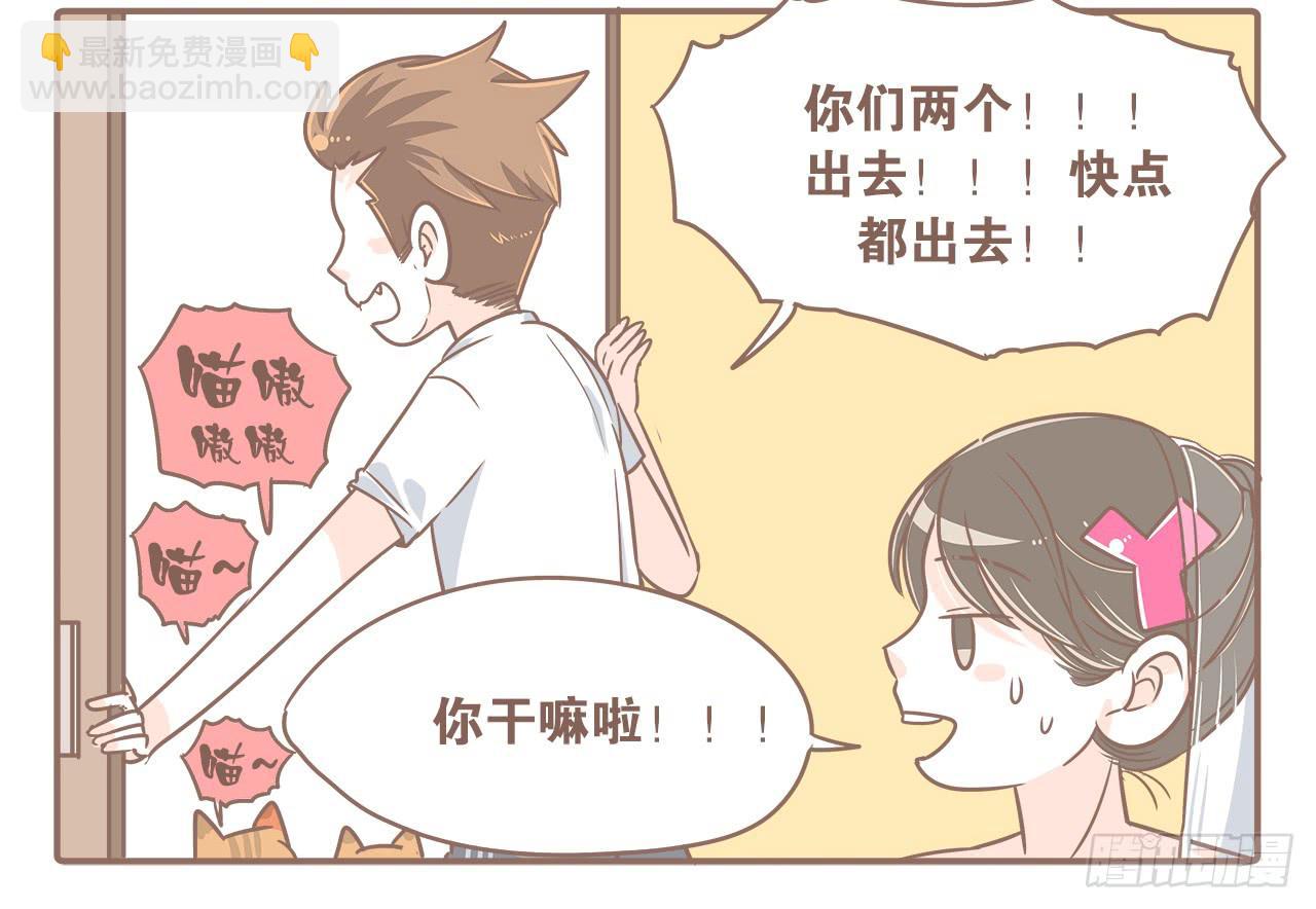 此处不能有猫3