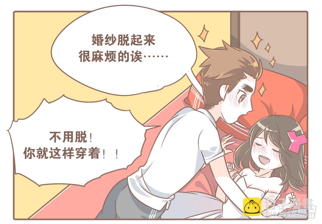 此处不能有猫4