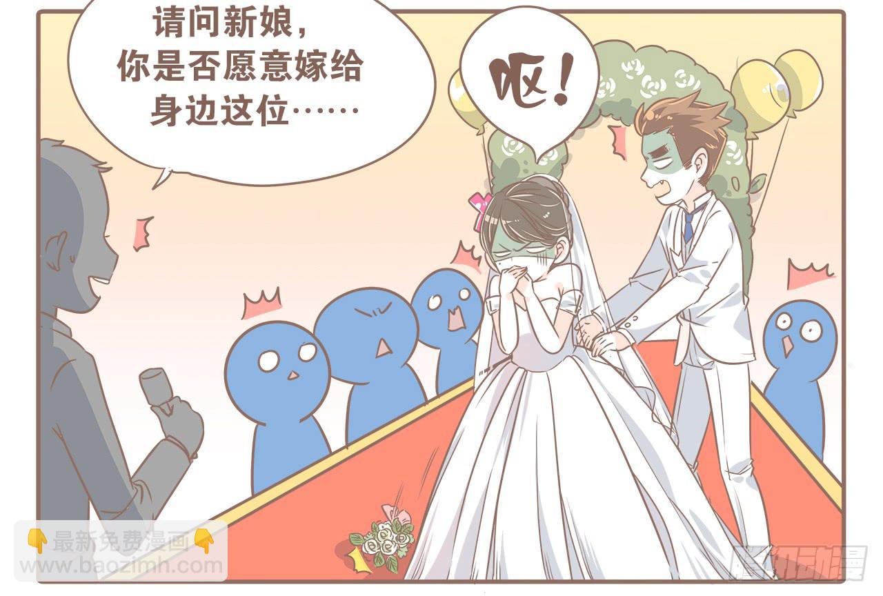 此处不能有猫8