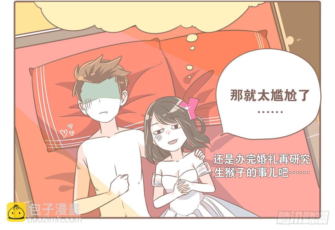 此处不能有猫9