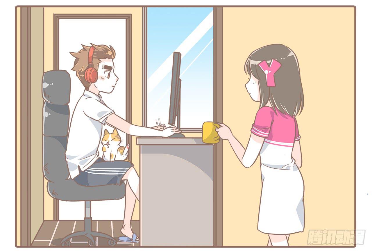 猫的内心是崩溃的4