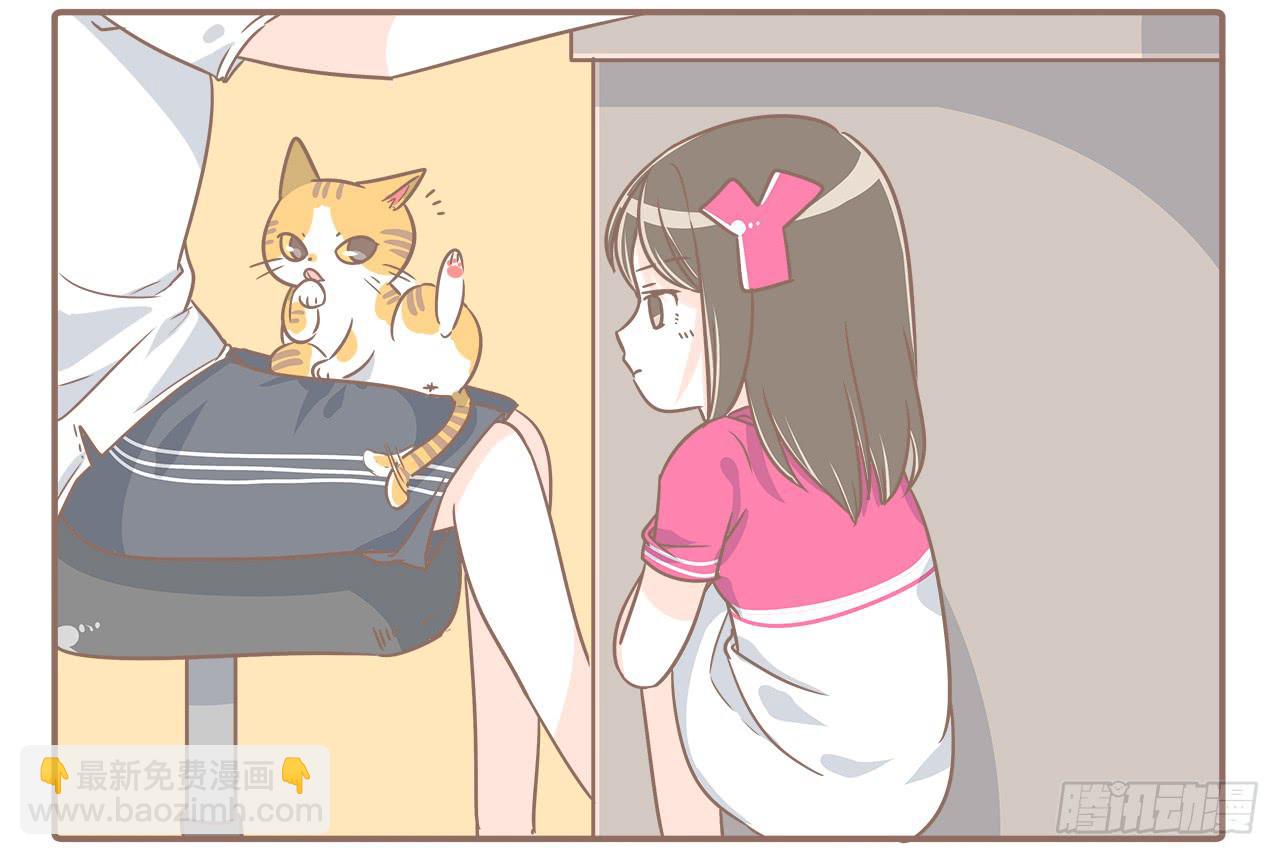 猫的内心是崩溃的5