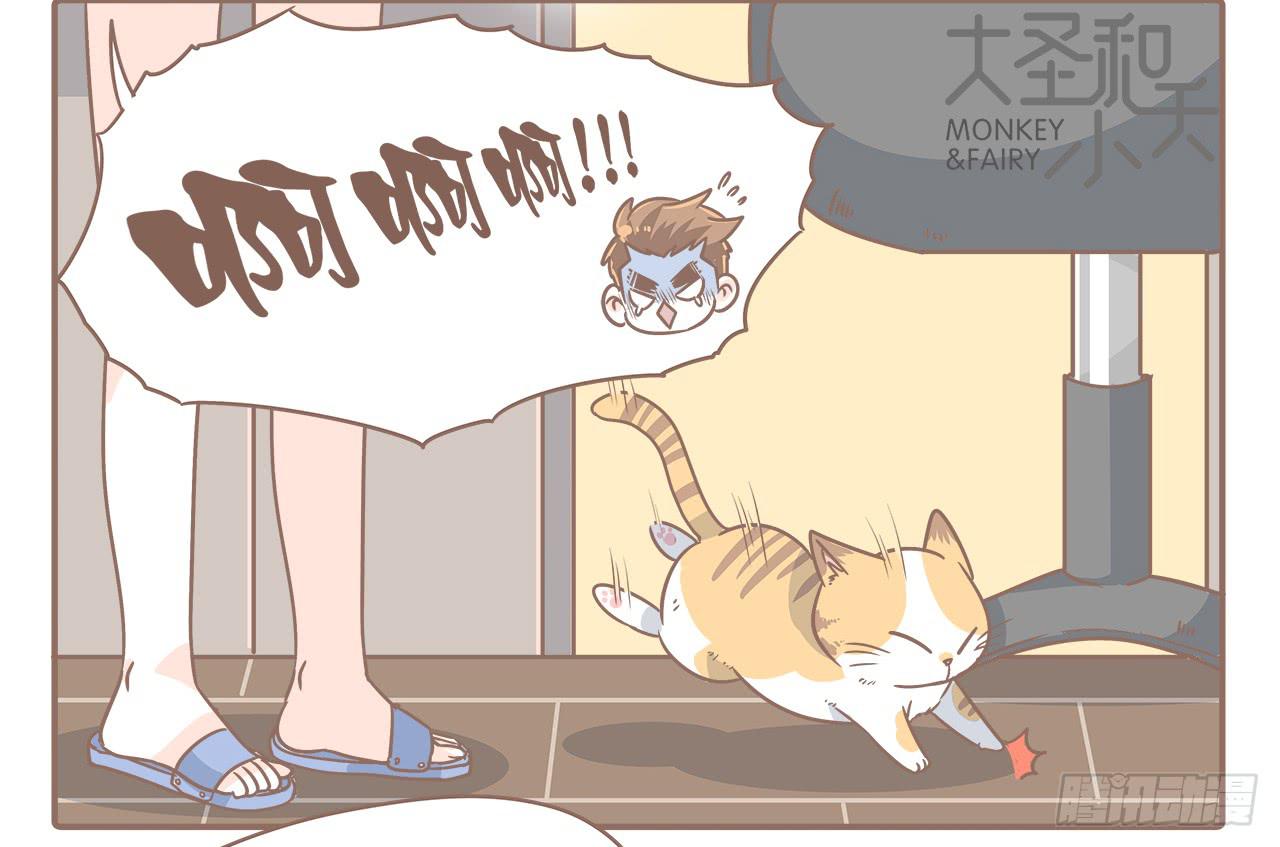 猫的内心是崩溃的8