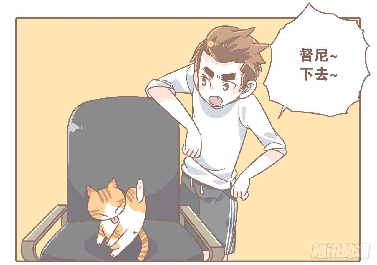 猫奴的生活0