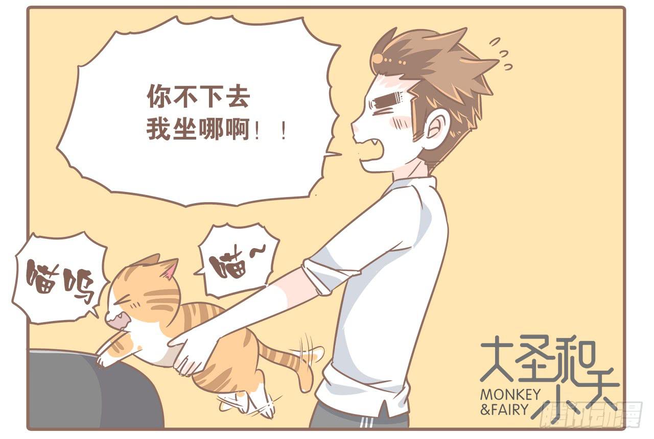 猫奴的生活1