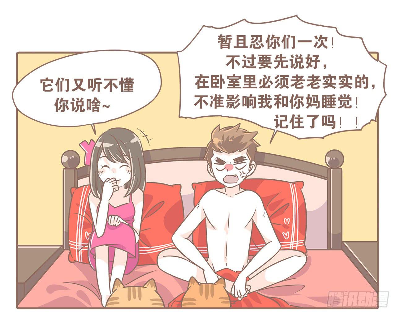 猫奴的生活11