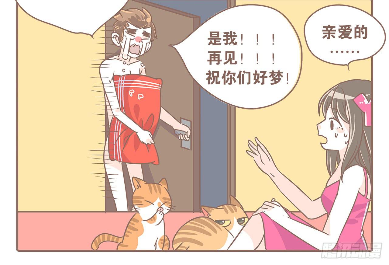 猫奴的生活13