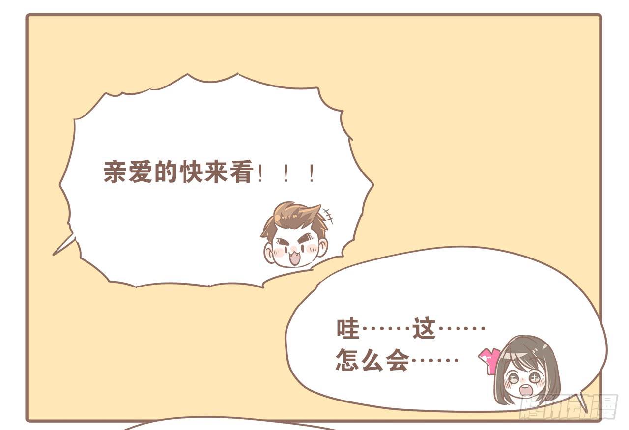 猫奴的生活14