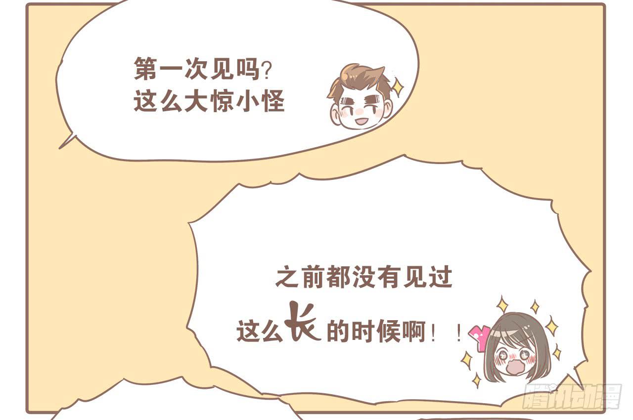 猫奴的生活15